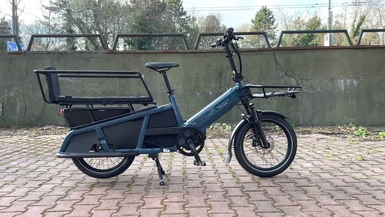 RIESE & MÜLLER Multitinker Vario walkaround.