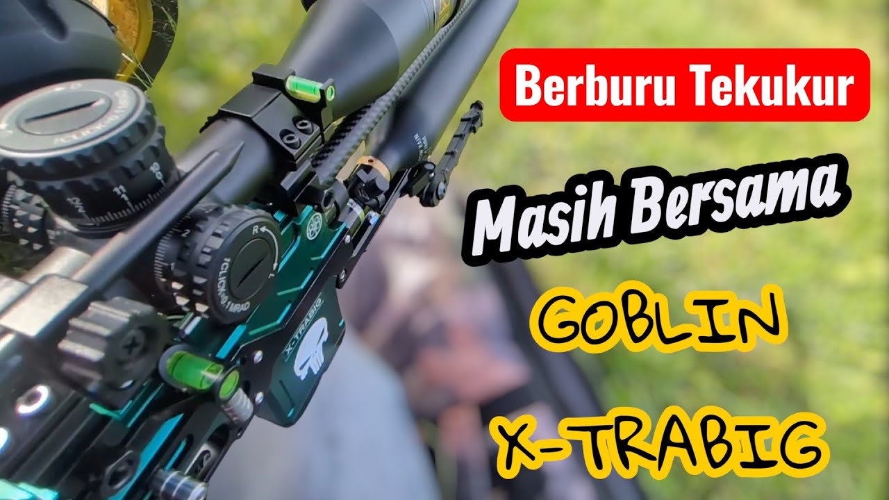 BERBURU TEKUKUR DI PERKEBUNAN TEH ‼️ #hunting #berburutekukur #dovehunting 