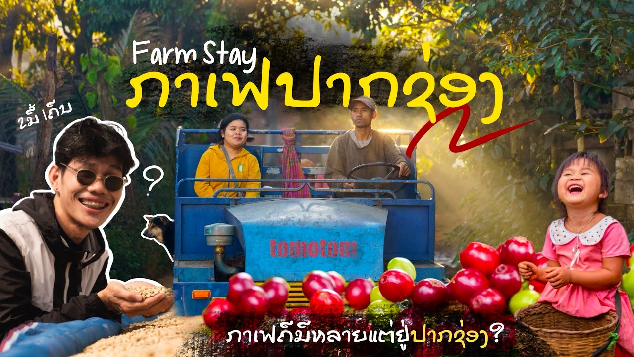 Farming Coffee in Laos ☕️🇱🇦 | My 2 Day Stay with Local Farmers in Bolaven
