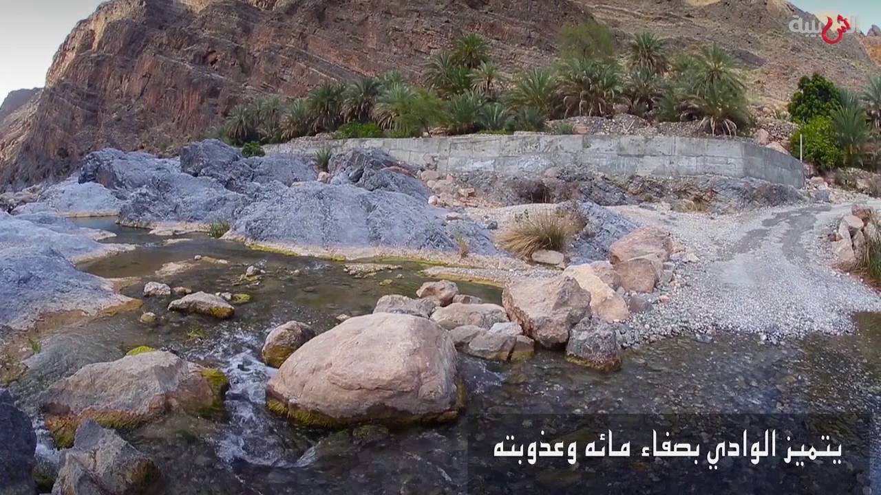 اكتشف جمال وادي العربيين الخفي