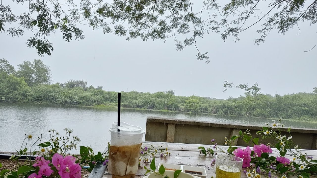 Cafe with sounds of rain 🌧️🍀#rain#relax#deepsleep #musicforsleep #nature #calm #calmrain #asmr#peace