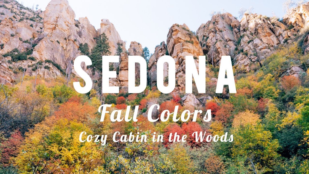 Fall Colors in Sedona! Cozy Cabin in the Woods with the dogs.