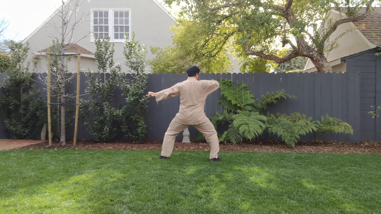 Hunyuan Taichi 83 Form Practice (Faster Pace)