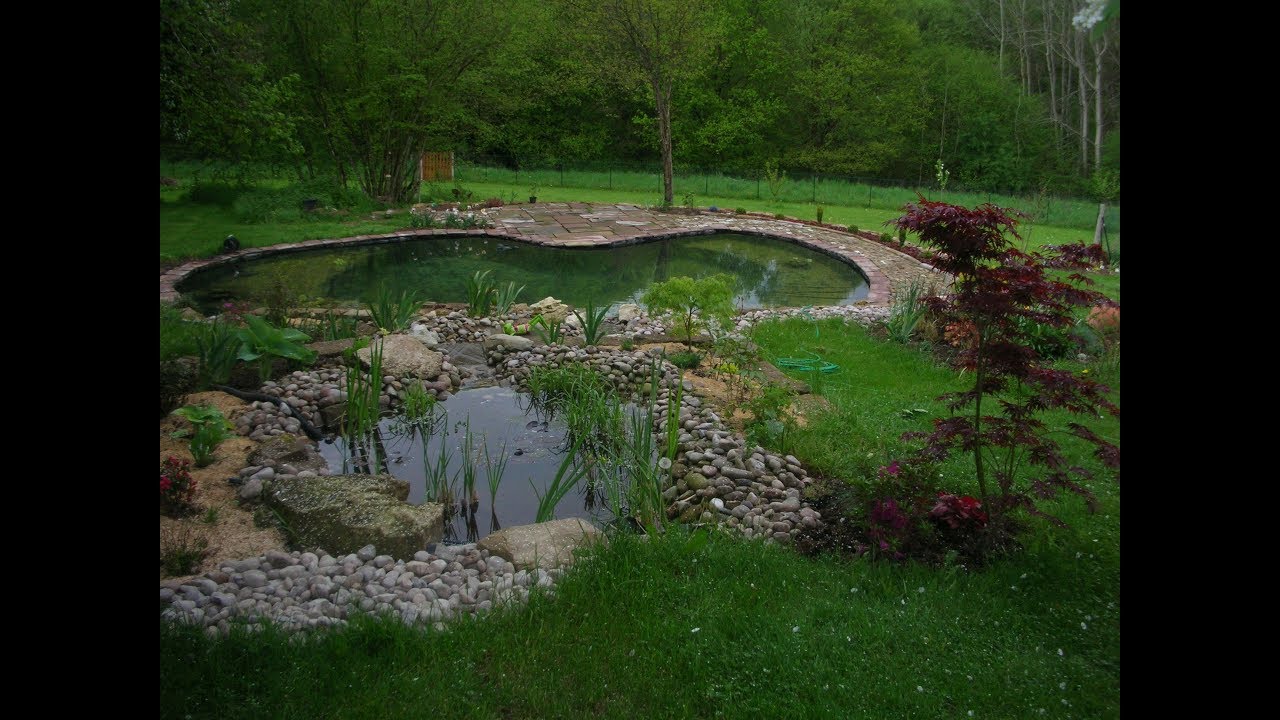 bassin piscine naturelle