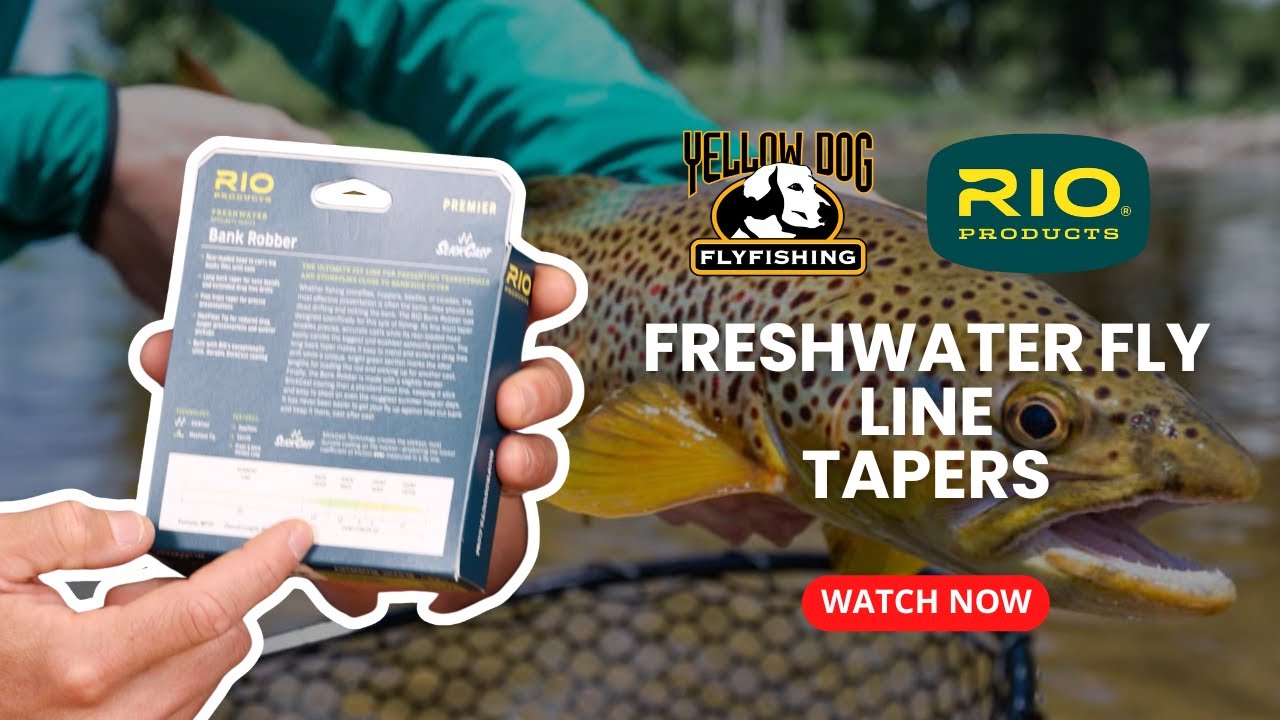 Freshwater Fly Line Tapers With RIO's Chris Walker