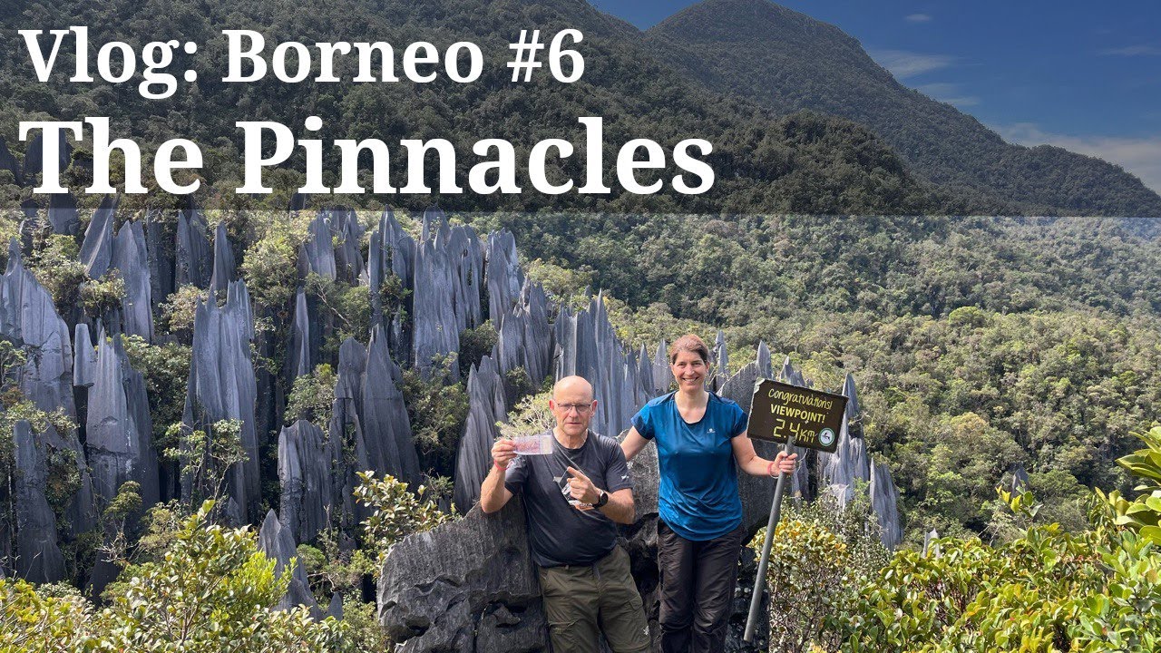 Borneo #6: The Pinnacles im Mulu National Park