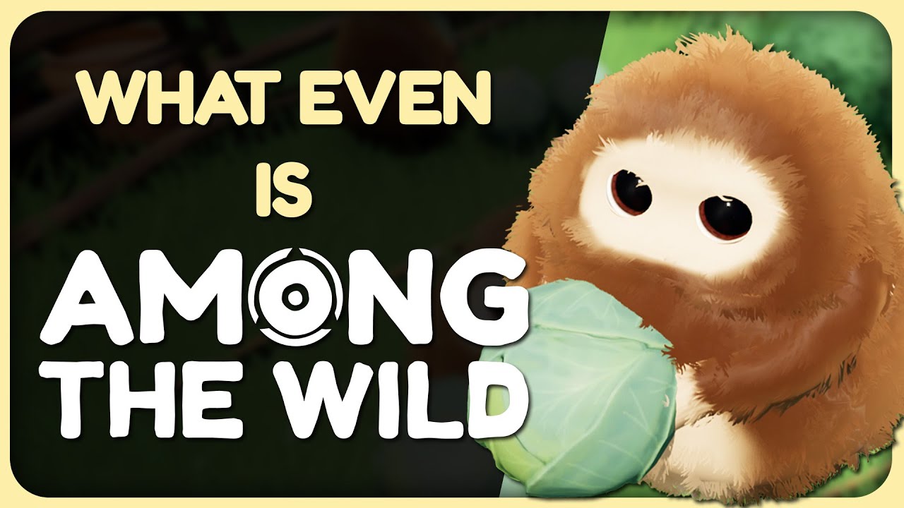 What even IS Among the Wild??? We answer your questions.