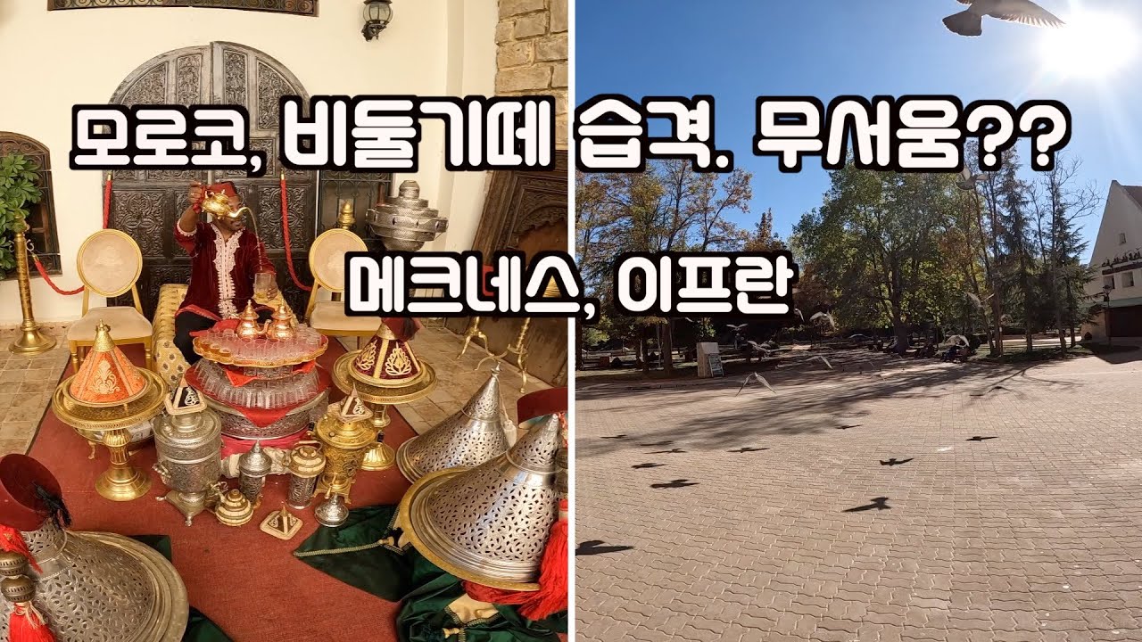 모로코 비둘기 떼의 습격??.4편 / 메크네스 / 이프란