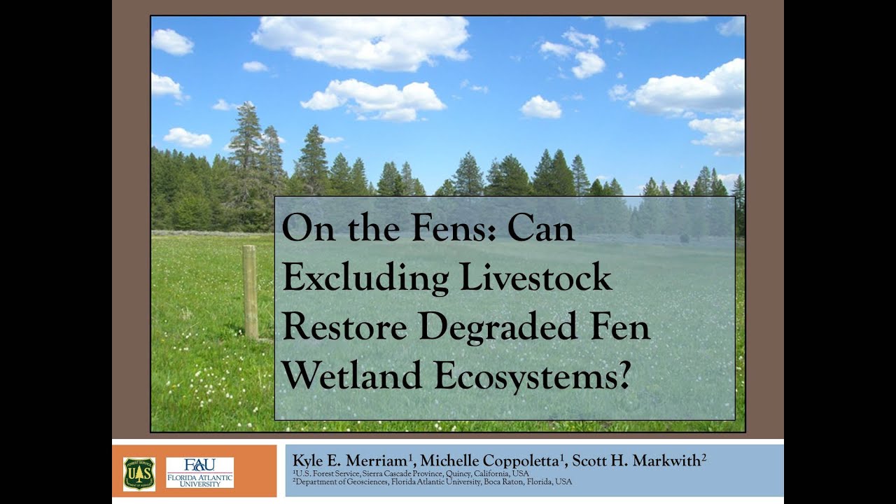 On the Fens: Can Excluding Livestock Restore Degraded Fen Wetland Ecosystems?