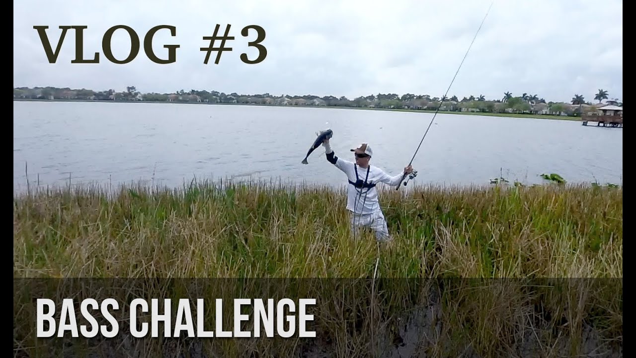 Bass Fishing Challenge!  - BlacktipH vs HECZWE vs LunkersTV