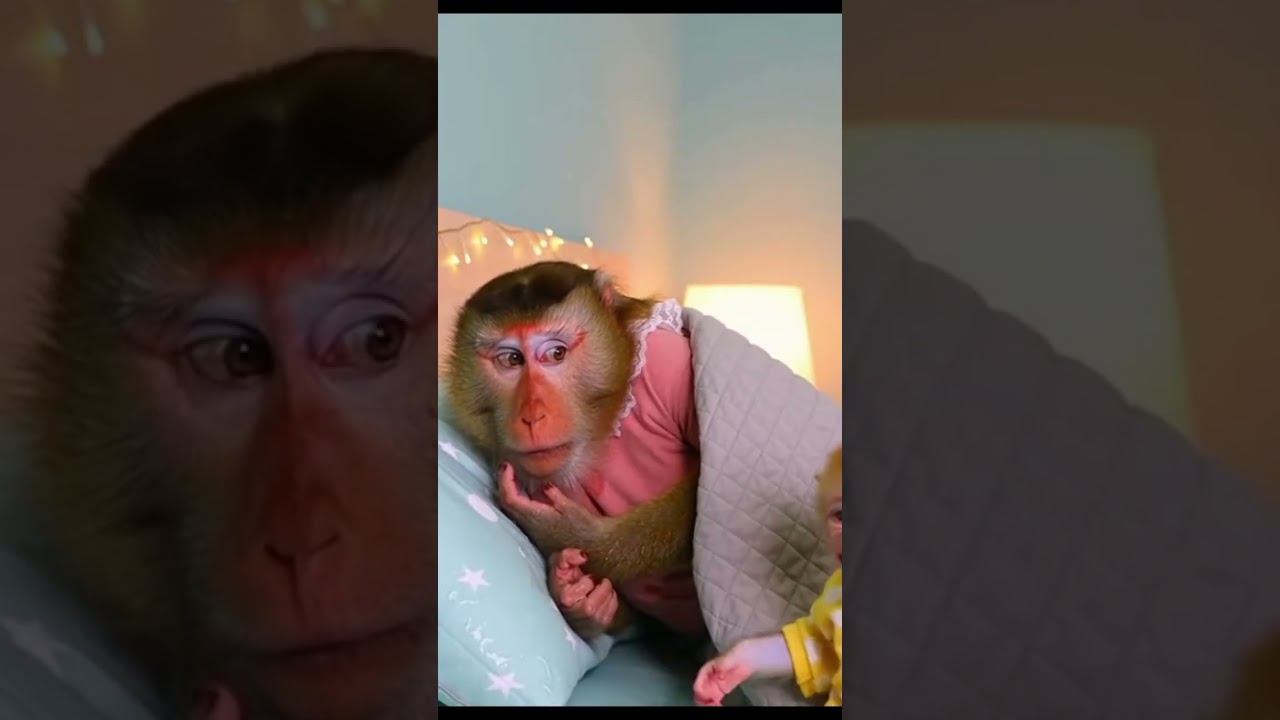 ai monkey baby funny 