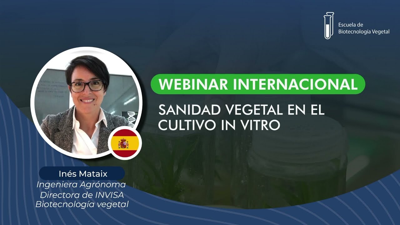 Sanidad Vegetal en el Cultivo in Vitro
