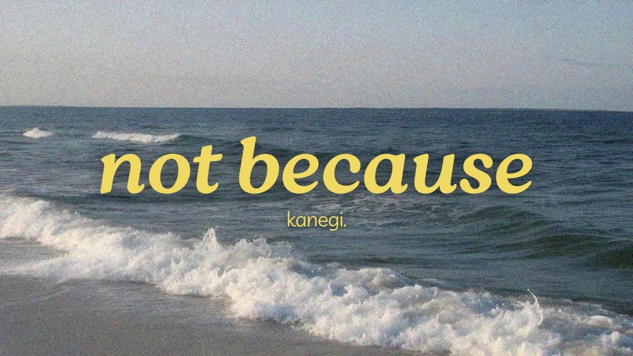 kanegi. - not because (official lyric video)