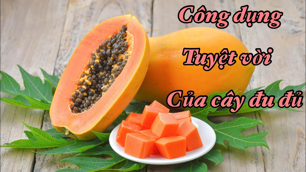 Công dụng chữa bệnh thần kỳ từ rễ tới hạt của cây phiên mộc