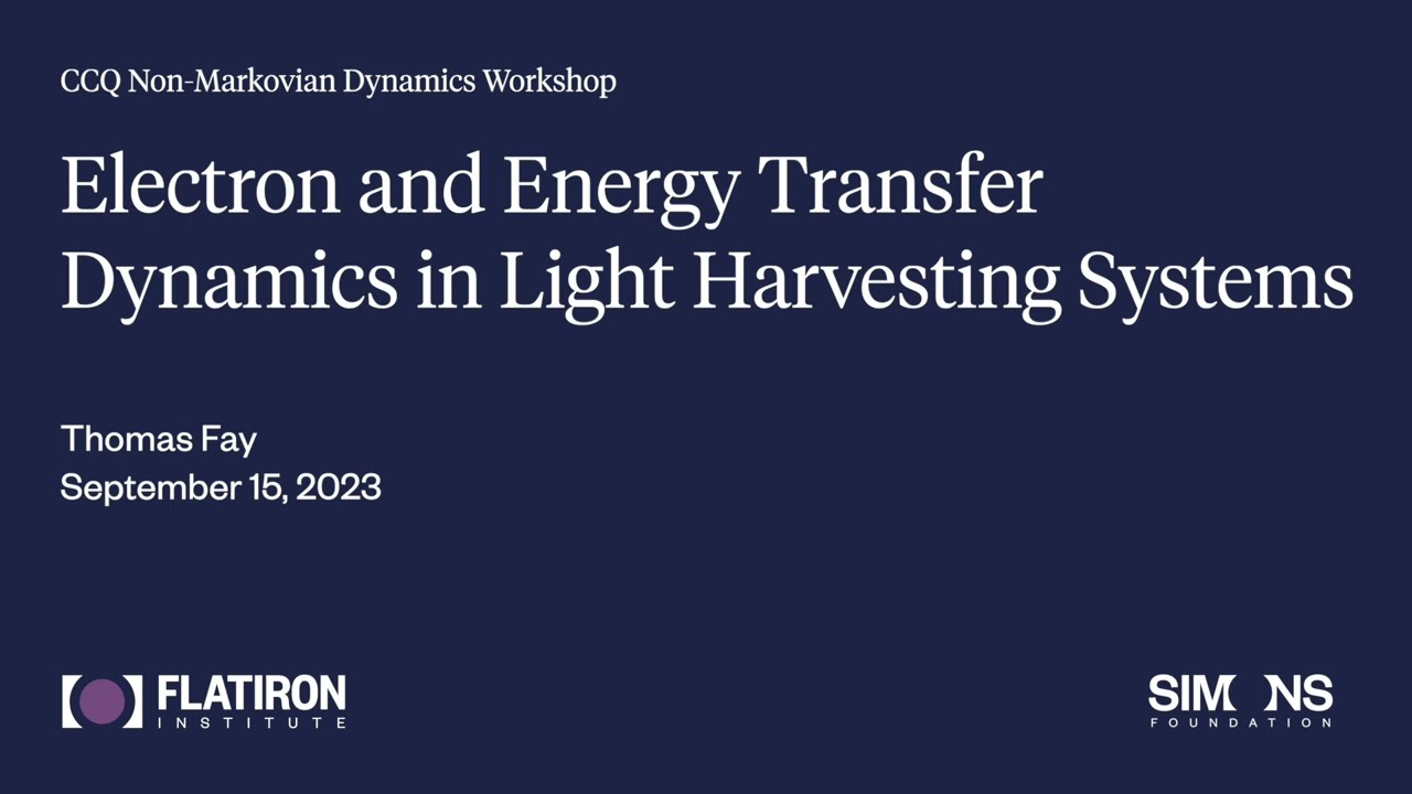 Non-Markovian Dynamics Workshop - Thomas Fay (September 15, 2023)