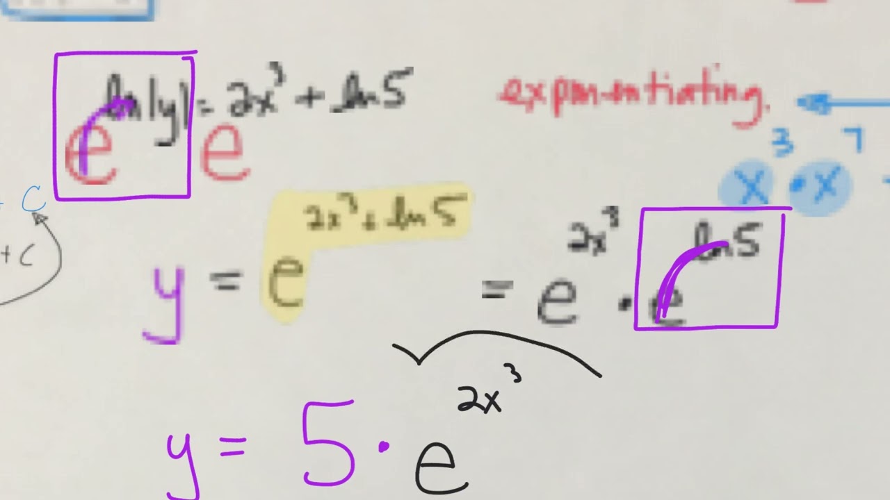 Differential Equations day 2
