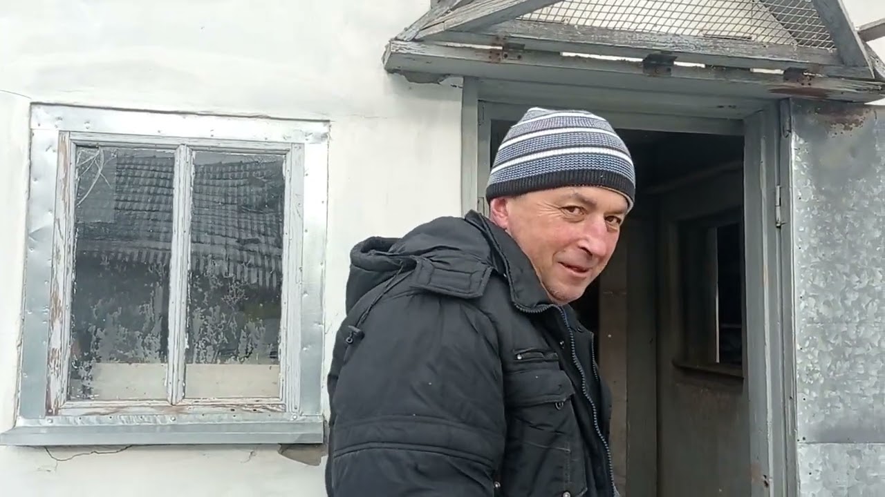 Миколаївські голуби - Юрія  Миколайовича (14. 01 - 2026 р ).( На Херсонщині ). 