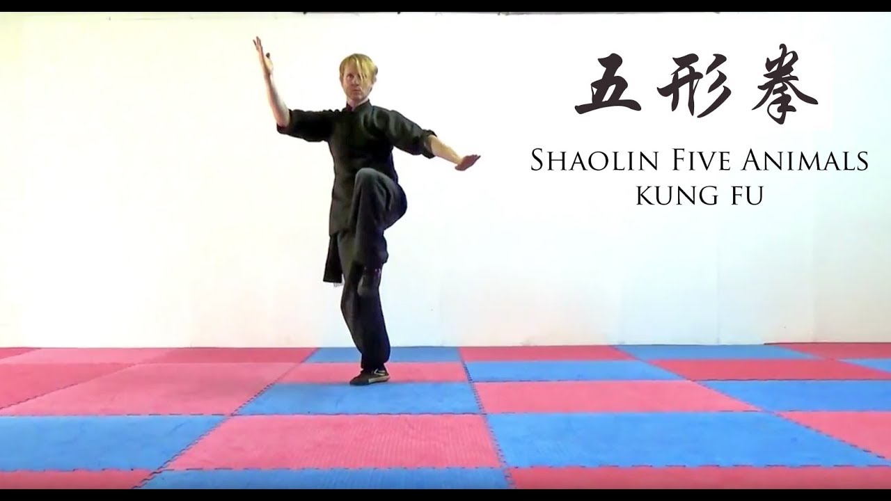 Shaolin Five Animals Kung Fu