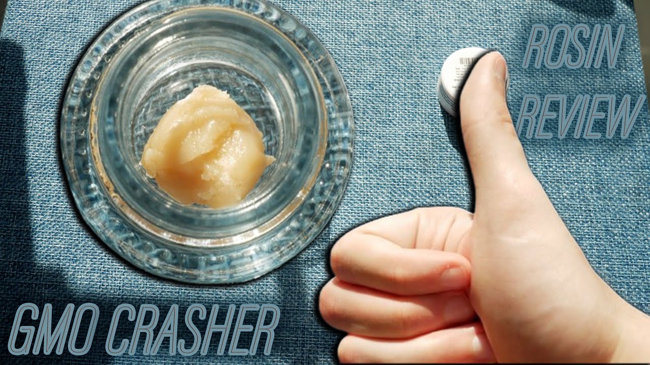 GMO Crasher Live Rosin Review