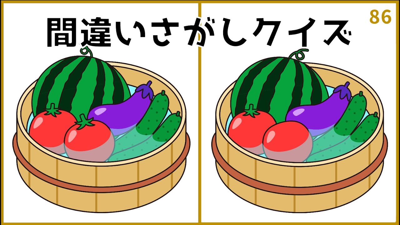 【間違い探しクイズ】無料おもしろ脳トレ動画！大人向けイラスト【全3問】#86