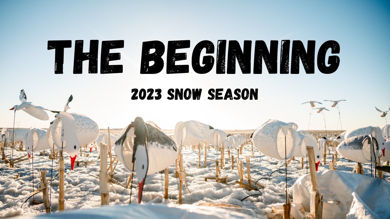Snow Goose Hunting: The Beginning 2023