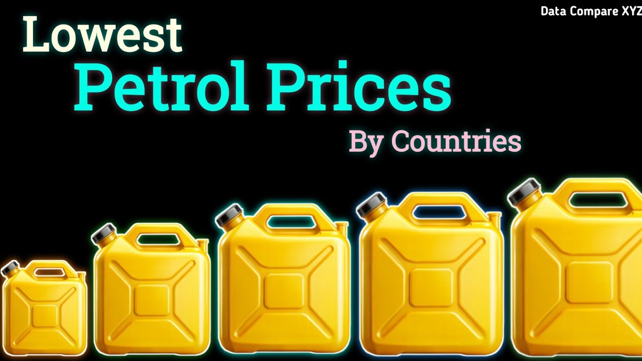 Which Country Has The Lowest Petrol Prices In The World // 3D Comparison Video 