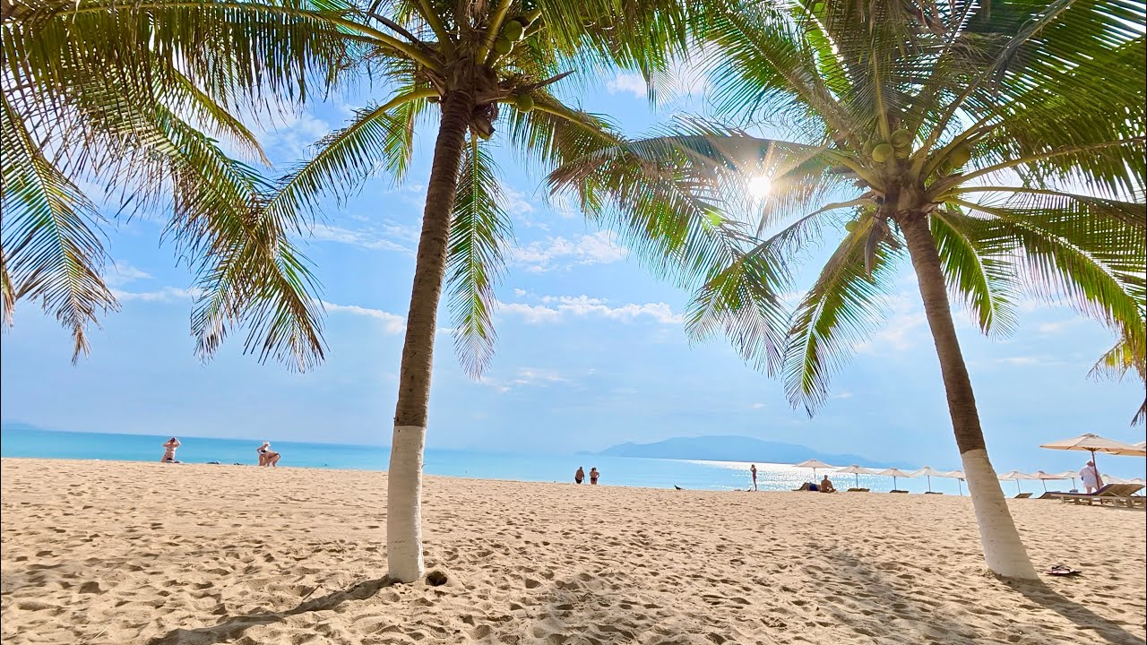 Nắng Thật Đẹp Trên Từng Con Phố - Ngày Cuối Cùng Của Năm Cũ - Cùng Chào Đón Năm Mới | NTTT