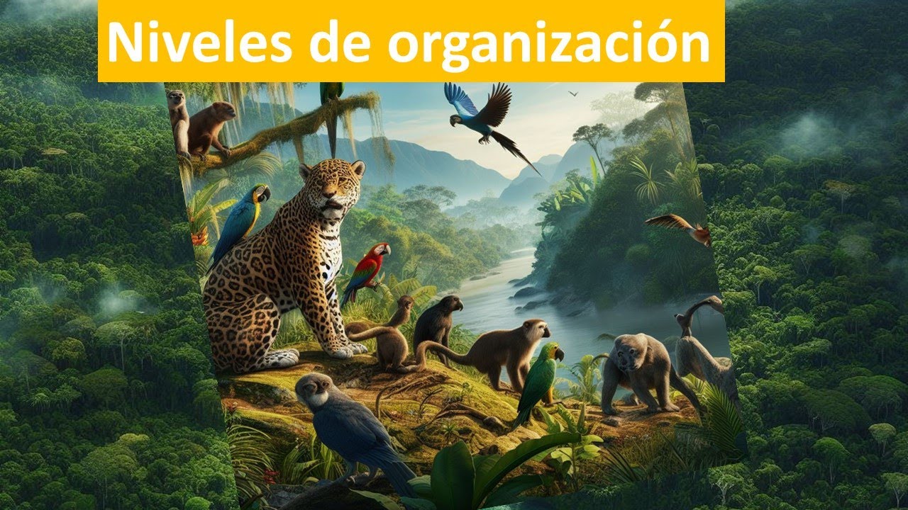Niveles de organización de los seres vivos - Biología - Semana 1
