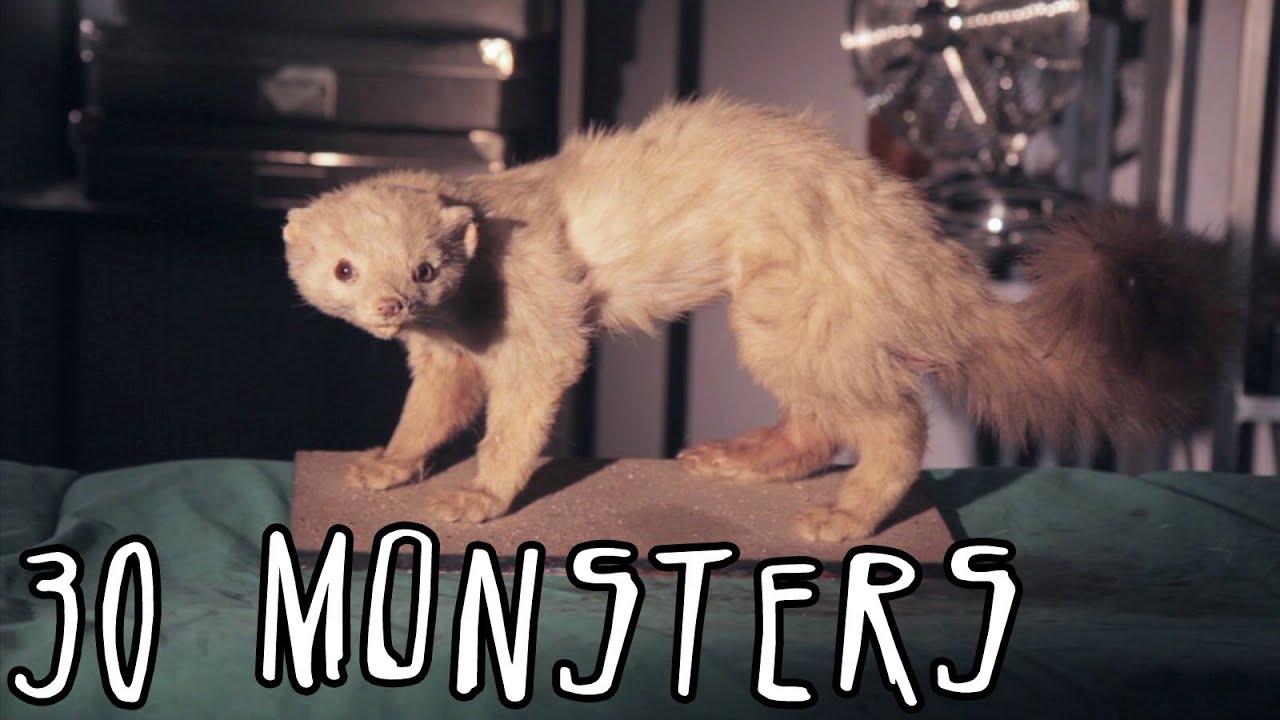 30 Monsters
