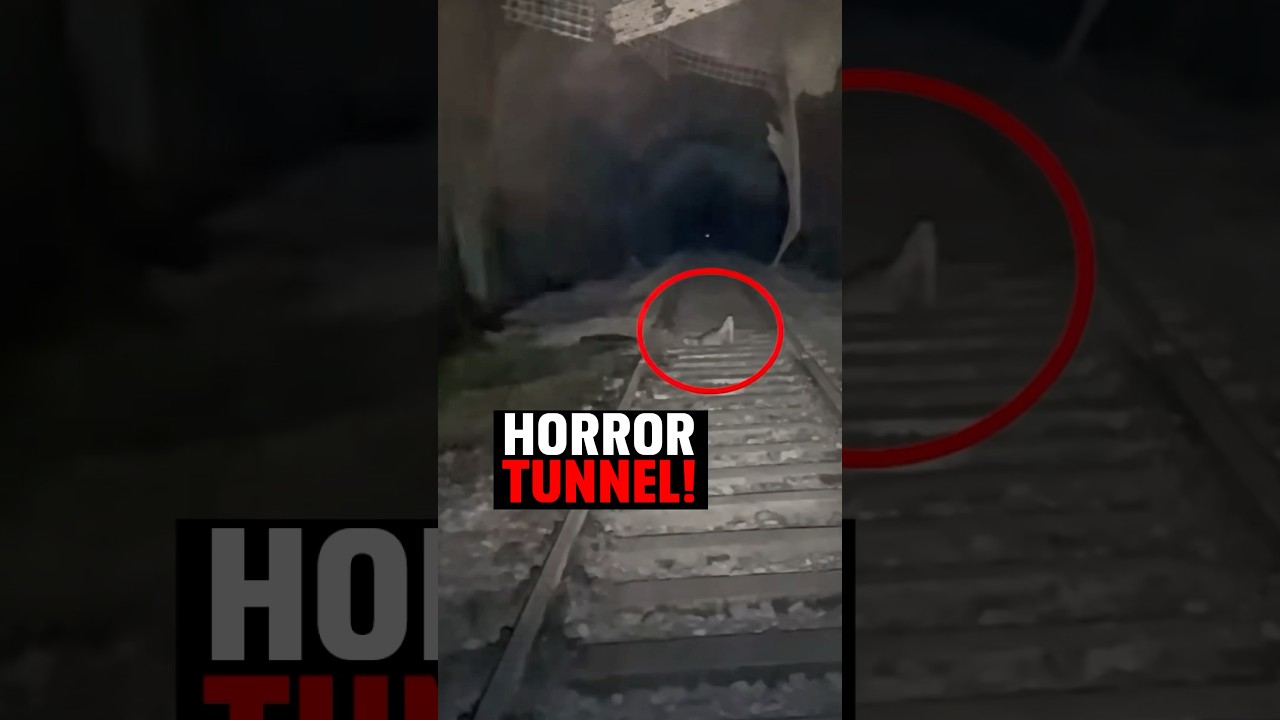 Das Ding im Tunnel! 💀 #scary #geister #geisterjagd