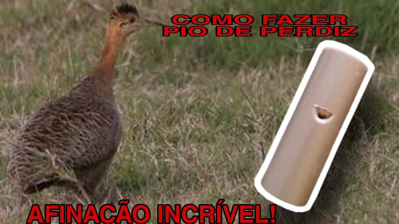 #perdiz #perdigão #chamadeperdiz AFINAÇÃO INCRÍVEL!! COMO FAZER O MELHOR PIO DE PERDIZ EM PVC