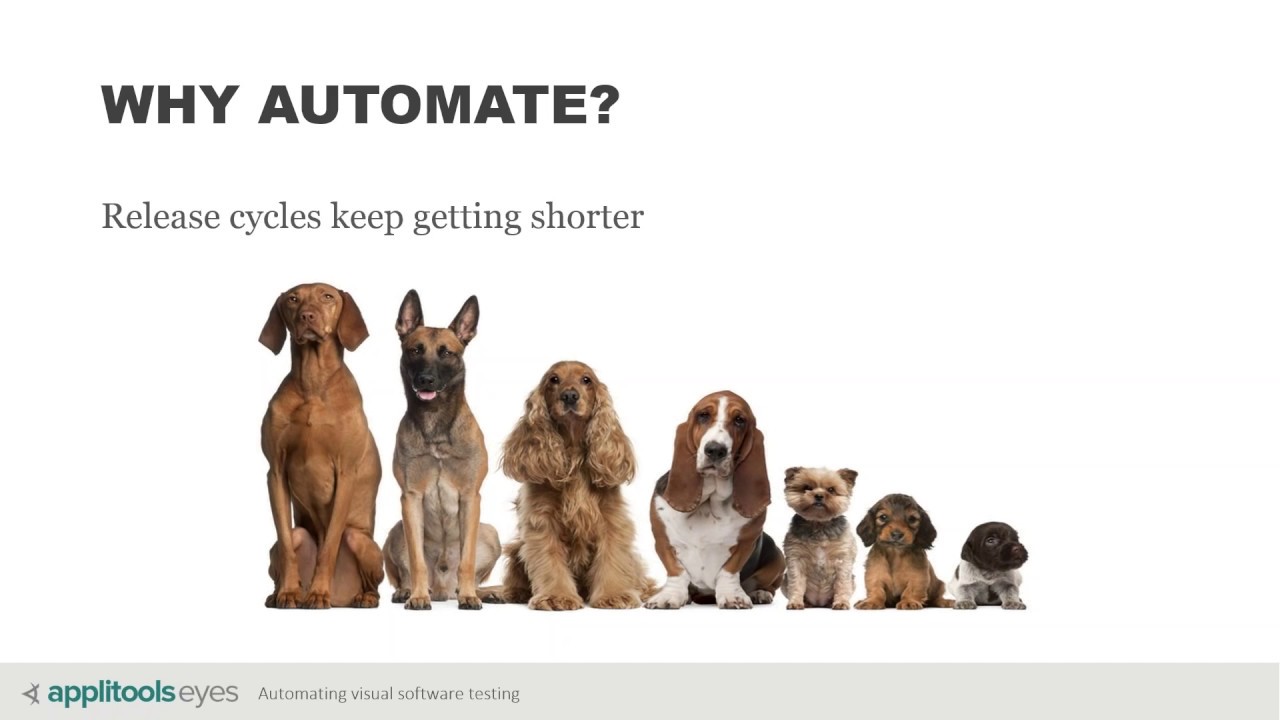 The Missing Link in Test Automation: Intro to Automated Visual Testing