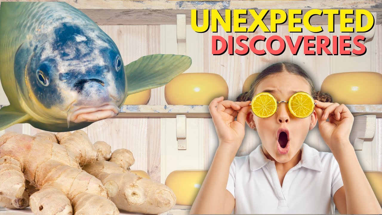 Dumpster Diving (Germany) : UNEXPECTED DISCOVERIES