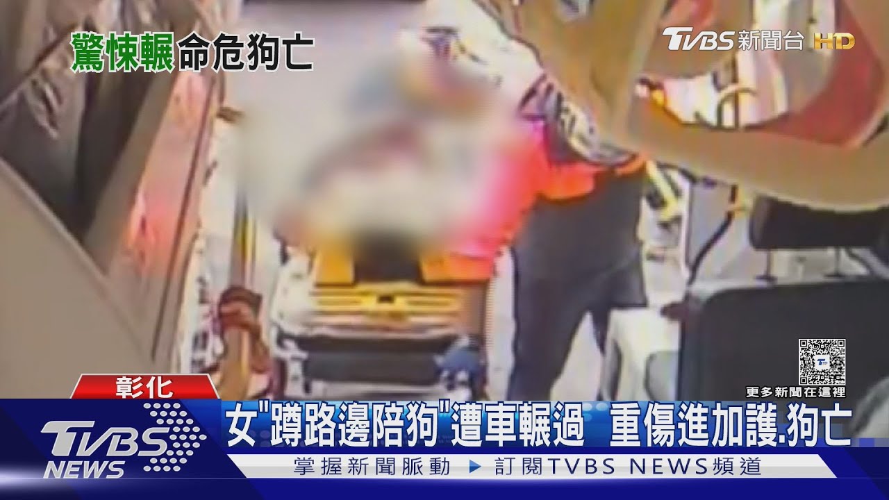 「陪狗蹲車前」 實測蹲下即消失 藏視線死角｜TVBS新聞 @TVBSNEWS01
