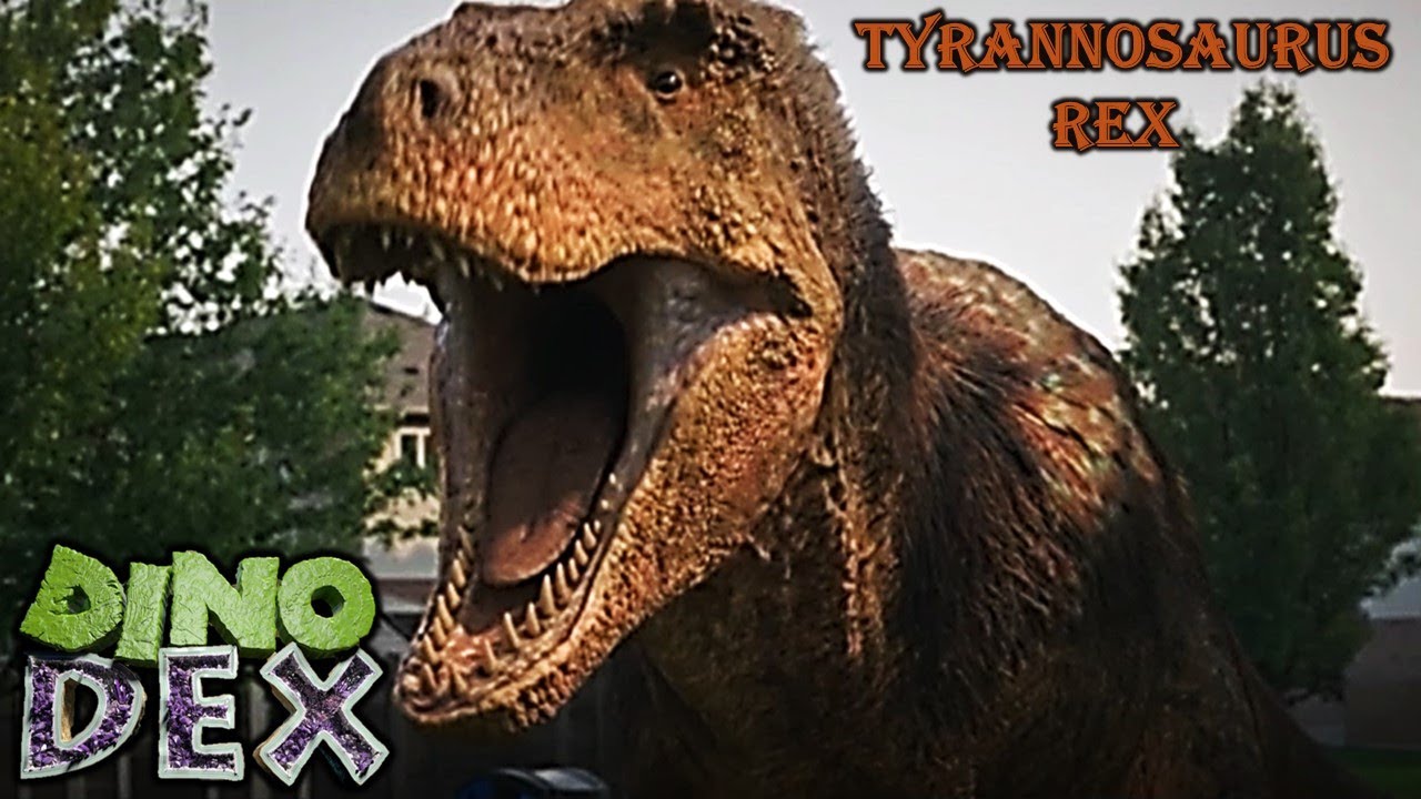 Dino dex Tyrannosaurus rex screen time