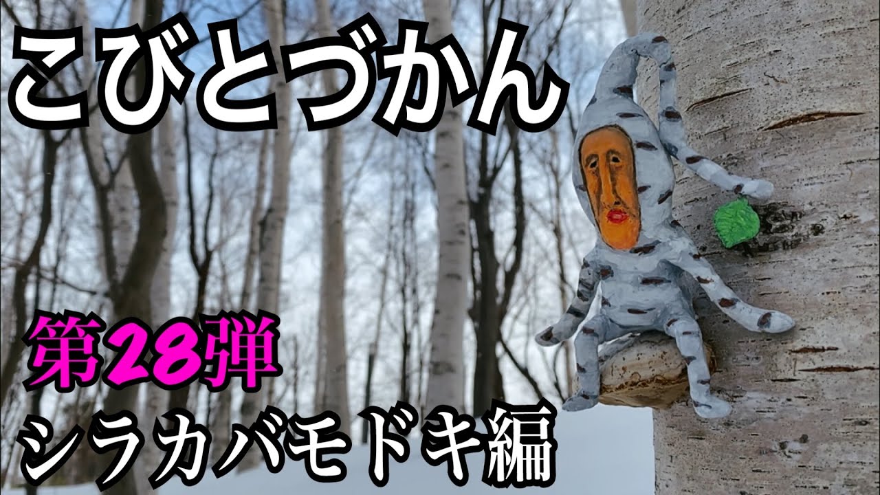 【こびとづかん】シラカバモドキ見つけるまで帰れま10！！