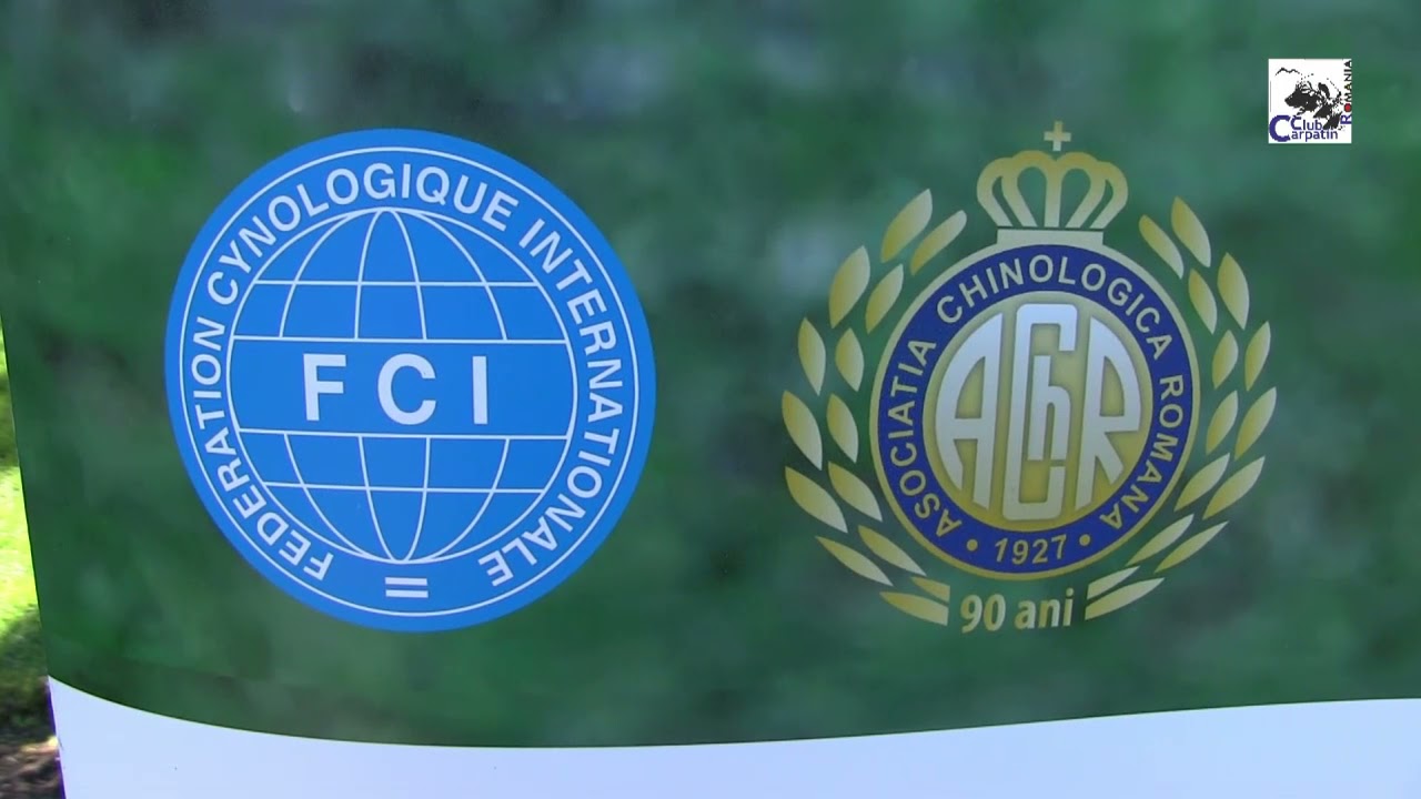 Ciobănescul românesc Carpatin in mediul academic