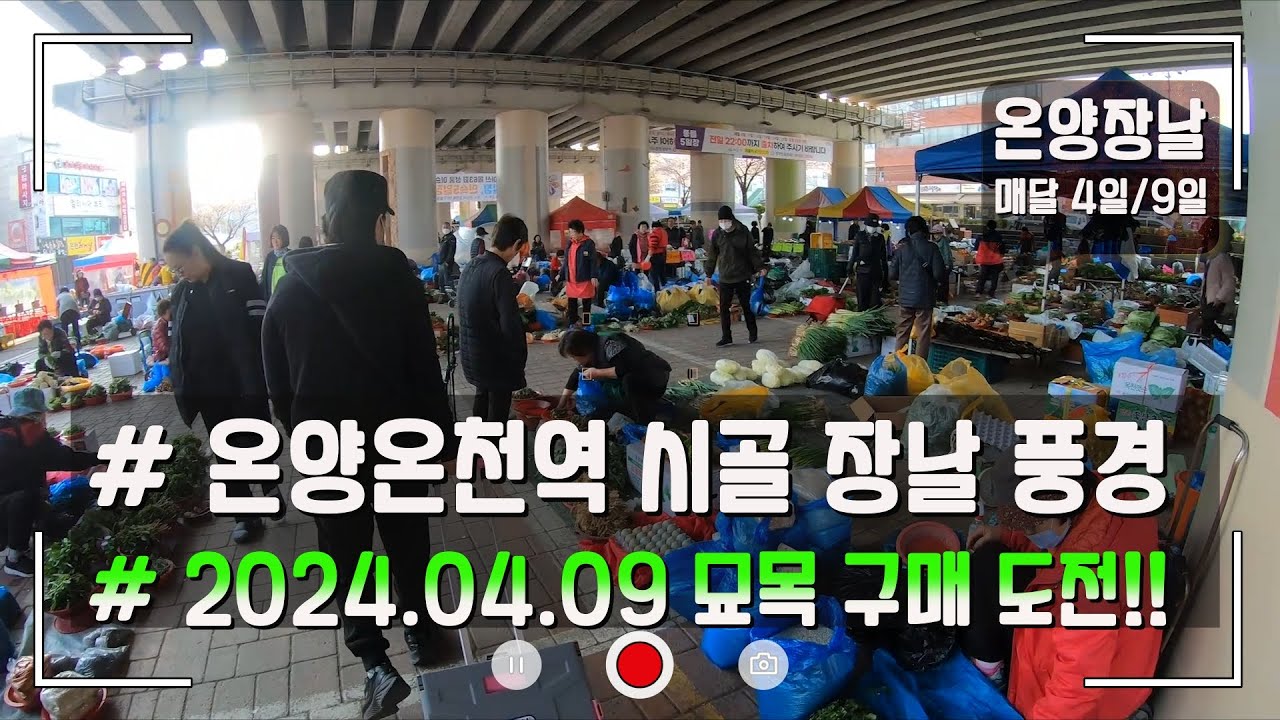 온양장날 (온양온천역) 묘목 구매하기