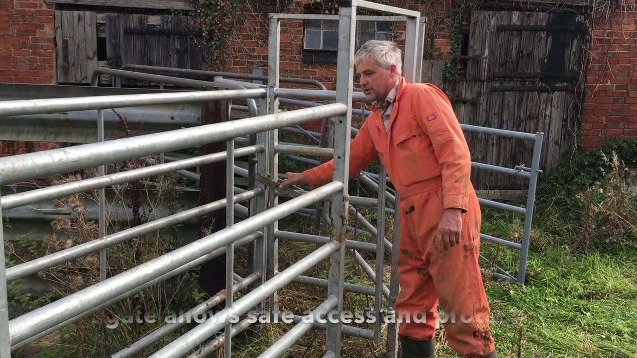 Simple Cattle Handling System