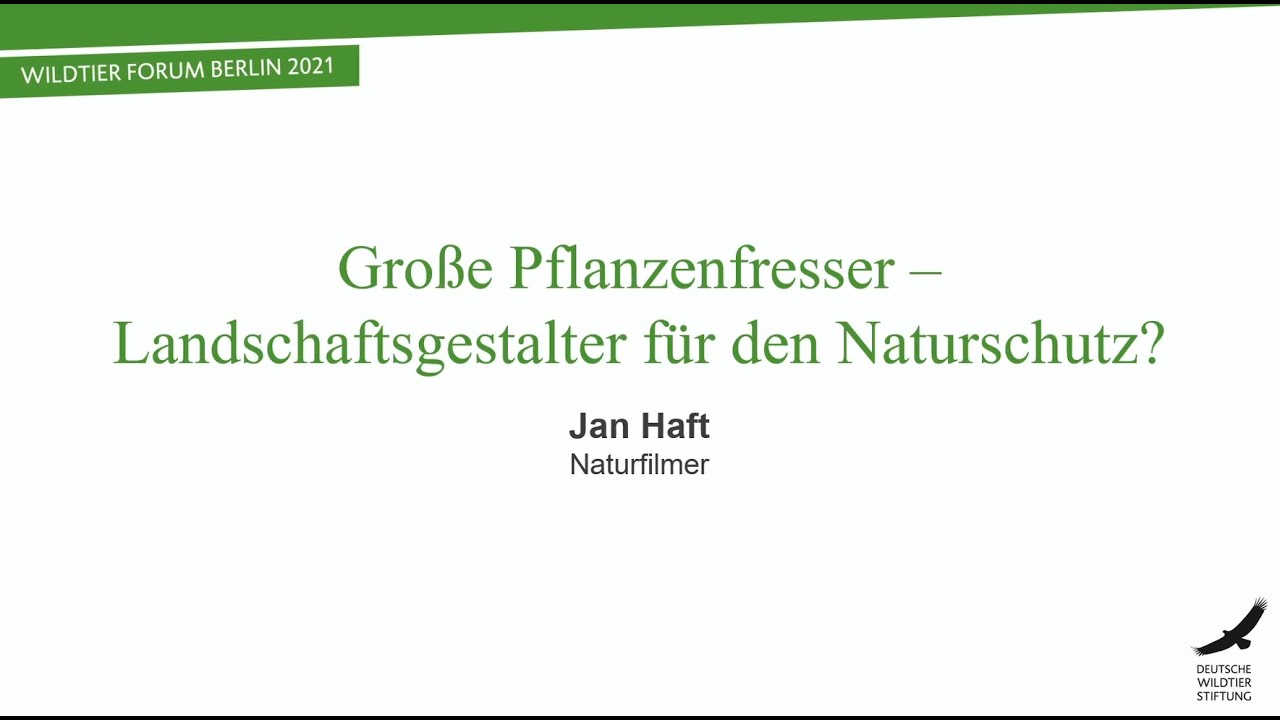 Große Pflanzenfresser - Landschaftsgestalter für den Naturschutz? Jan Haft