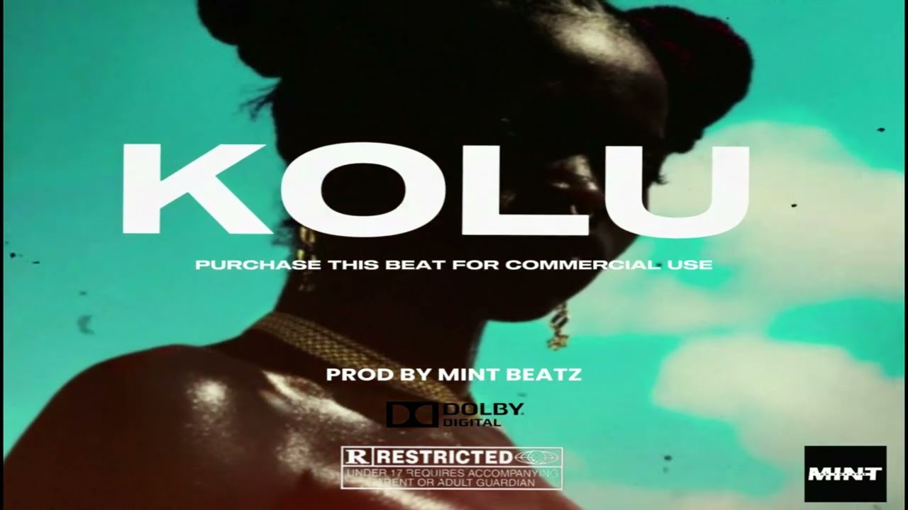  shallipopi x Asake x type beat xAmapiano Type Beat | Afrobeat | 