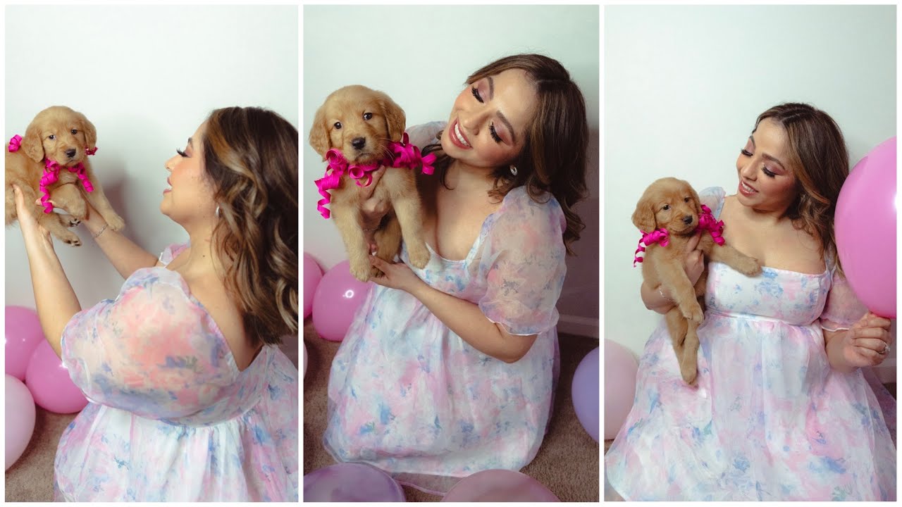Meet our Newest Family Member, a Golden Retriever Puppy!