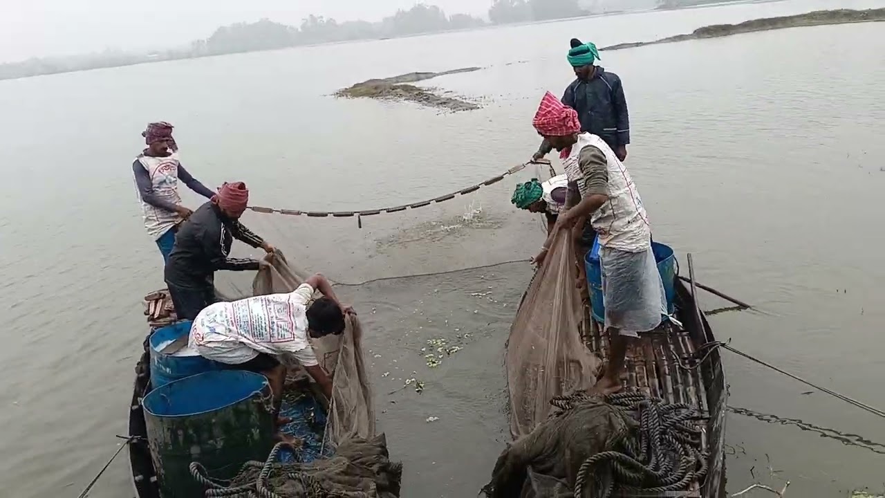মাছ ধরার লিঞ্জা টেকনিক 