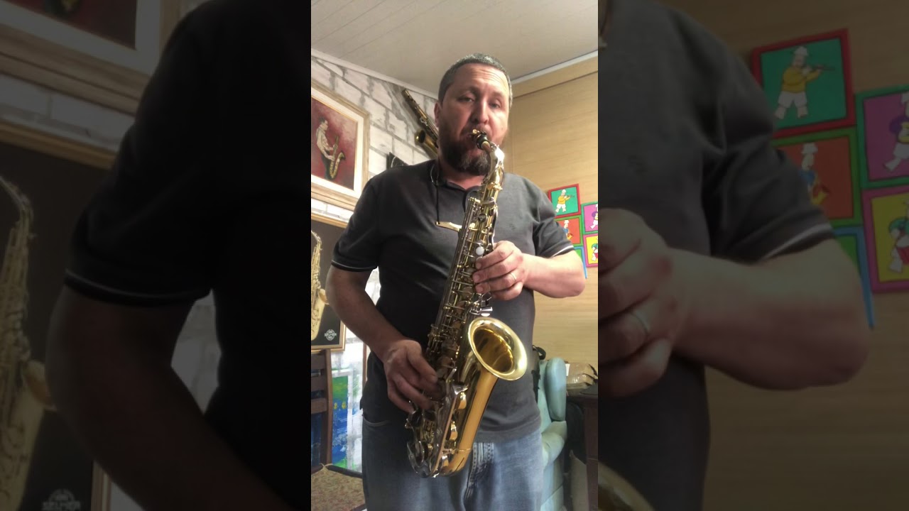 Sax Alto Yamaha YAS 25 Revisão Completa (Turvo PR)