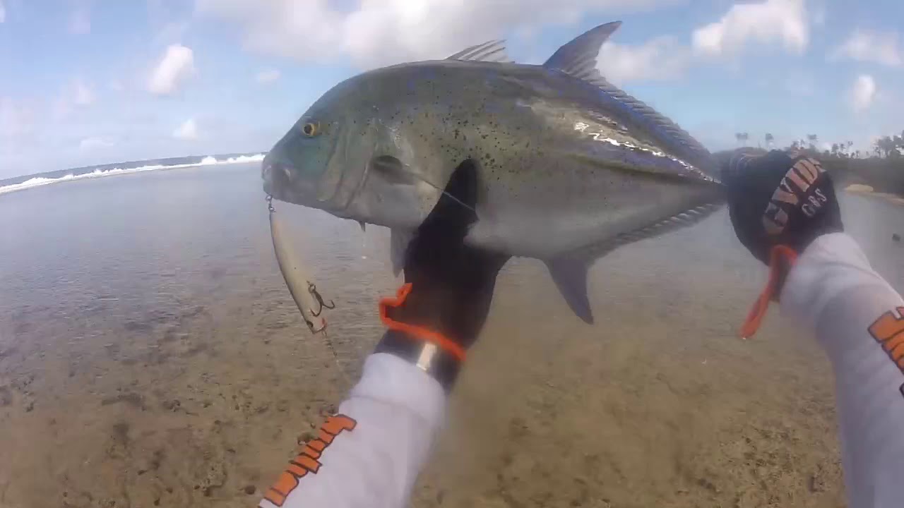 Shore Casting : Big bluefin Trevally : Yolanda Beach Fishing