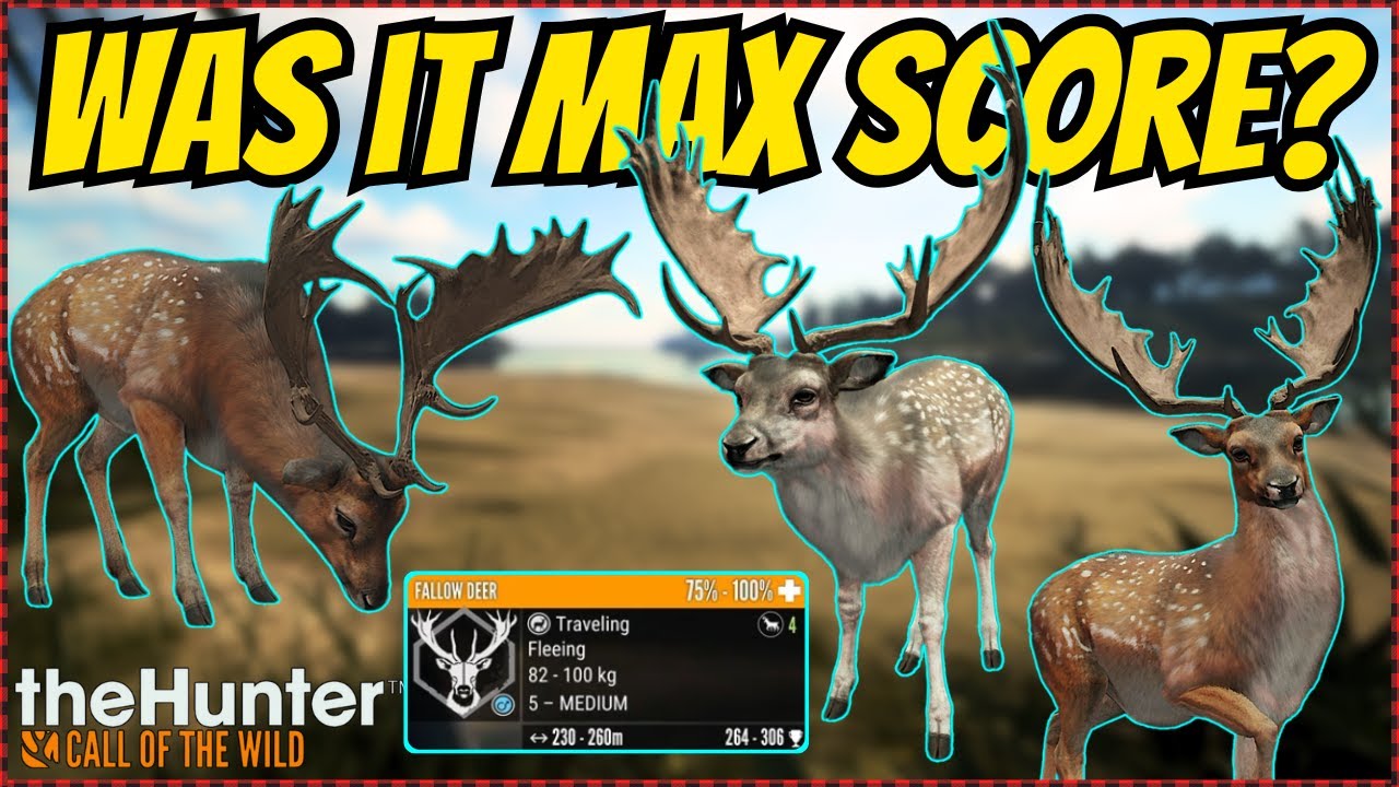 Hunting MASSIVE Fallow Deer for a MAX SCORE DIAMOND! | theHunter: Call of the Wild