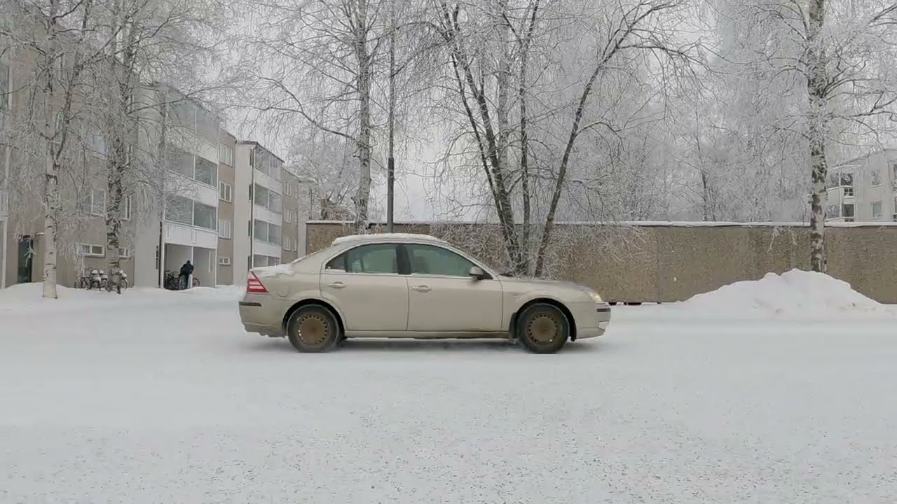 Зима/ворона кормится из под сороки .