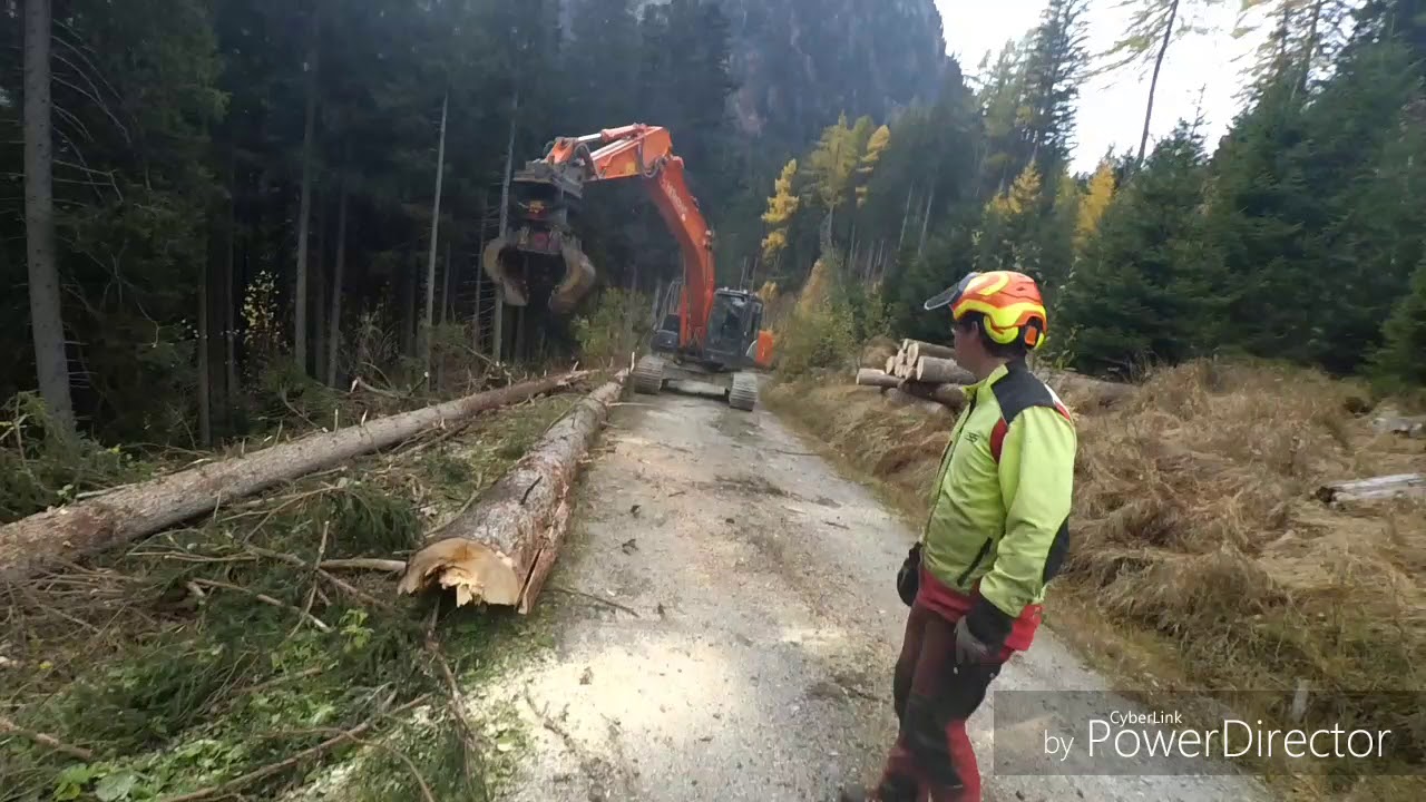 🌲Windwurf aufarbeiten mit Hitachi 210 LC🌲