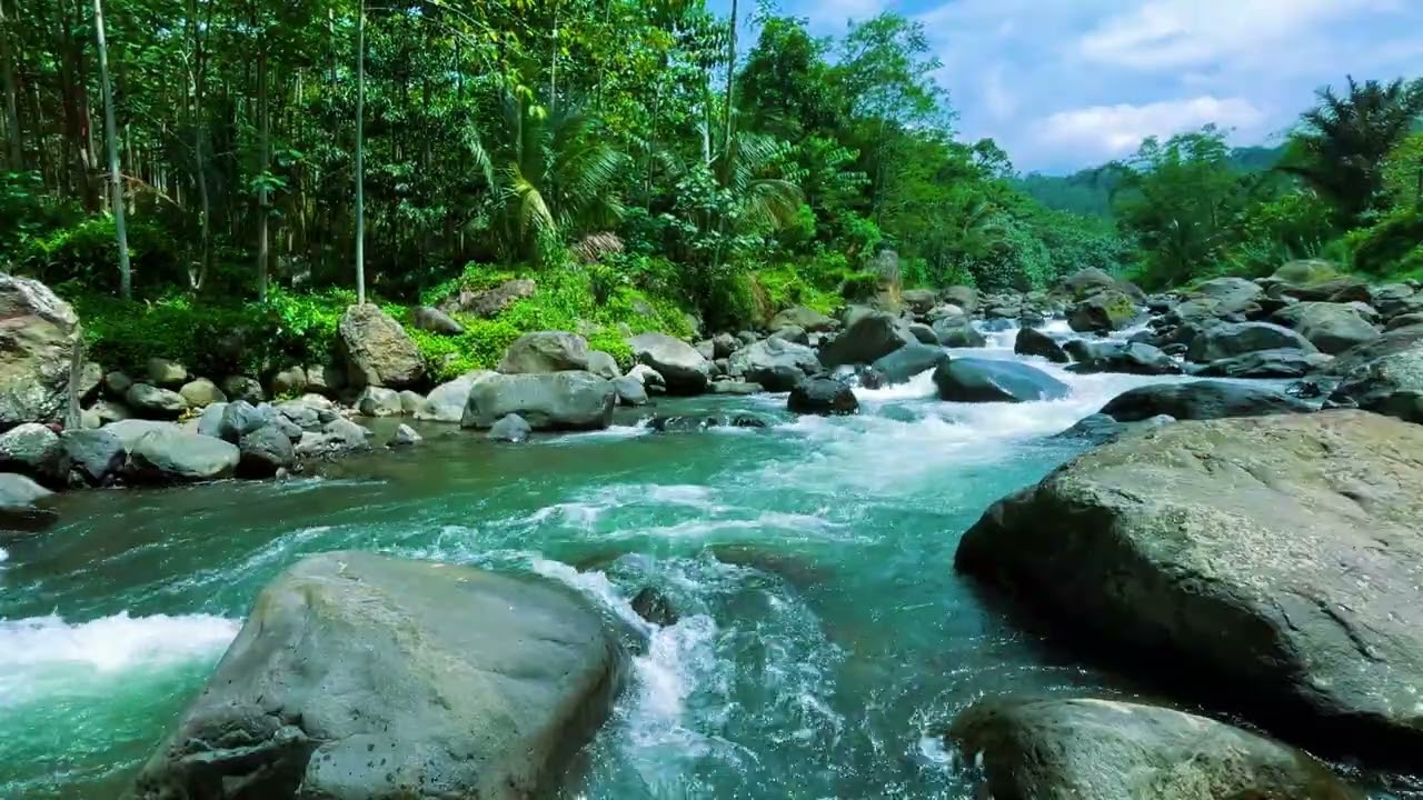 Relaxing Nature Ambience – Calm Forest Stream and Waterfall for Deep Sleep, Study, and Mindfulness