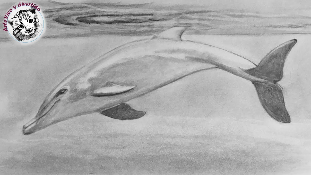 Como Dibujar un Delfin con Lapiz Paso a Paso y muy Facil